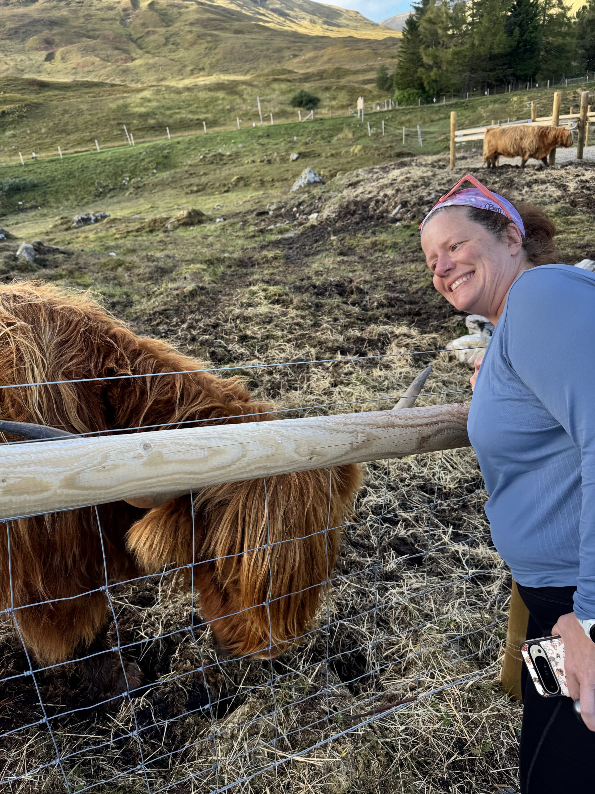 Dr. Heather Yardley smiling while feeding a Highland cow on a hillside