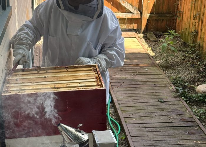 342F0B8C-92DC-487F-BC8E-C9A87B0BC7EC